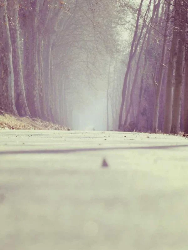 Sınırsız Pamukkale Escort Elif
