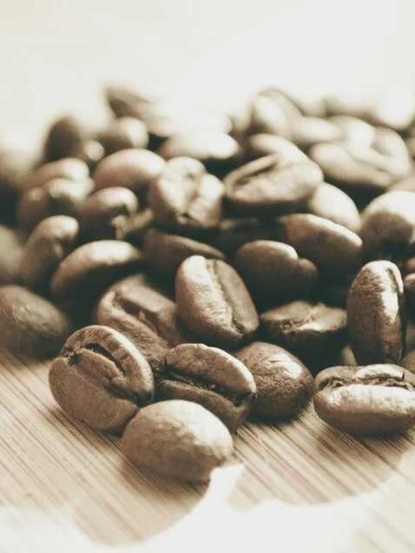 Sınır Bilmeyen Denizli Escort Kadınları